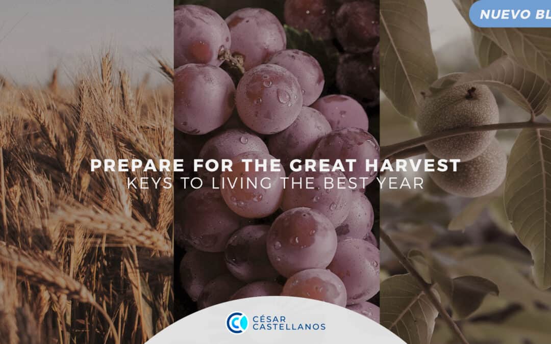 Prepare for the Great Harvest: Keys to living the best year.